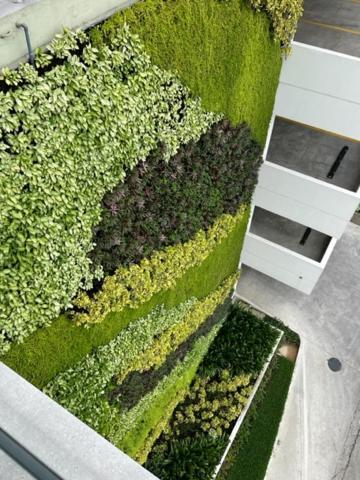 New Luxury Apartment With King - Size Bed Ceibos Guayaquil Exterior photo